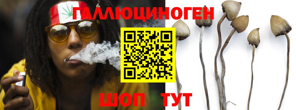 Псилоцибиновые грибы мицелий Лосино-Петровский